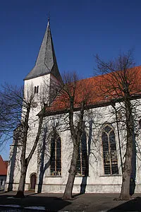 Lienener Kirche hinter gestutzten Linden