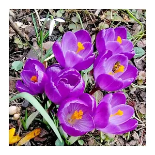 Titelbild des aktuellen Gemeindebriefs